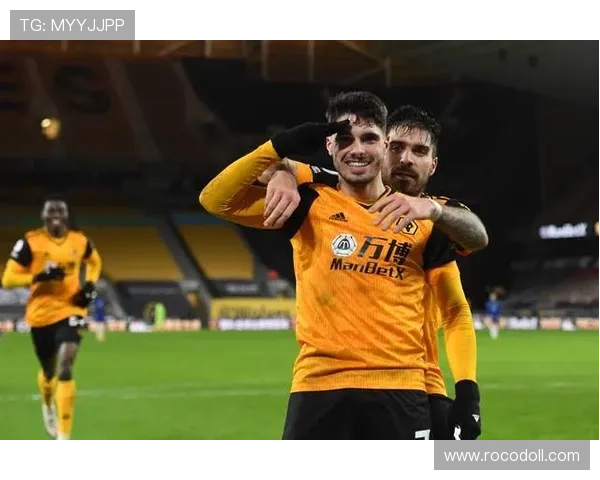 斯卡洛尼压迫结构解析